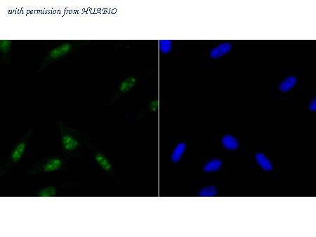 HUABIO ET7108-49 image 3