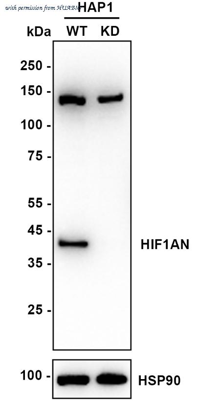 HUABIO ET7108-50 image 1