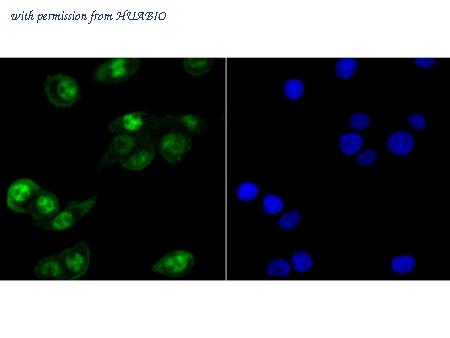HUABIO ET7108-50 image 3