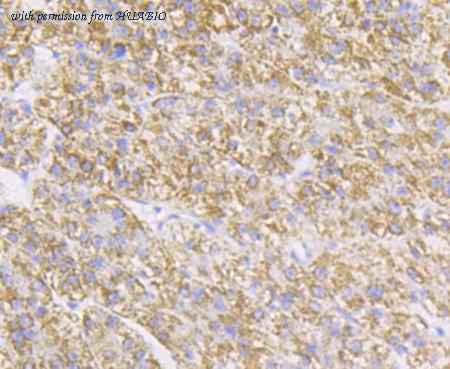 HUABIO ET7108-52 image 2