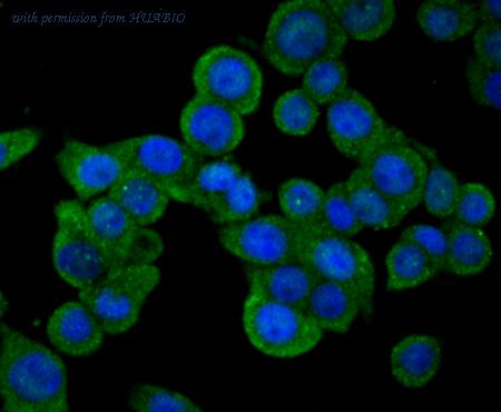 HUABIO ET7108-53 image 3