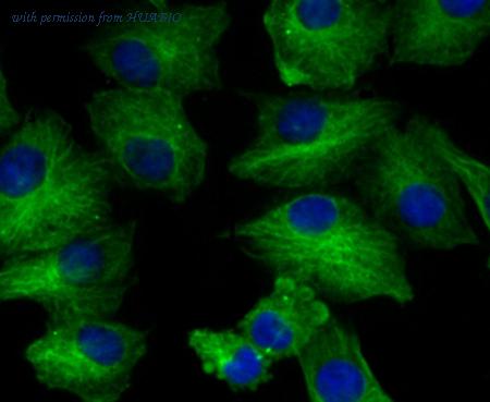 HUABIO ET7108-54 image 3