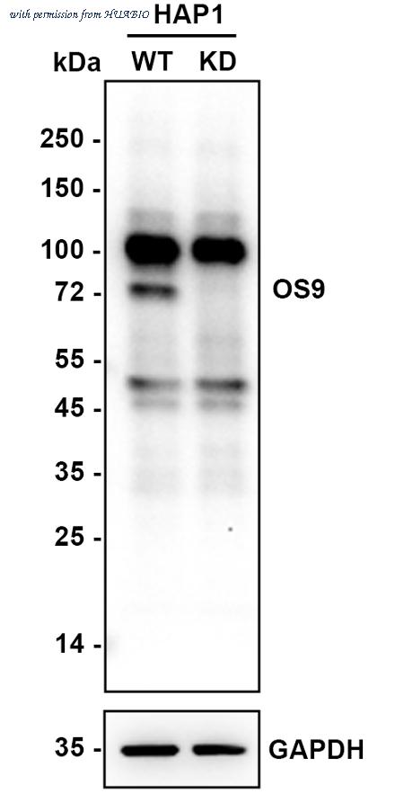 HUABIO ET7108-61 image 1
