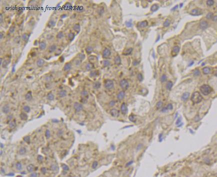 HUABIO ET7108-64 image 3