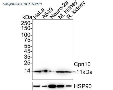 HUABIO ET7108-67 image 1