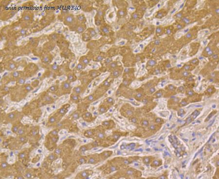 HUABIO ET7108-67 image 3