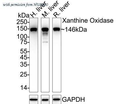 HUABIO ET7108-69 image 1