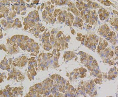 HUABIO ET7108-69 image 2