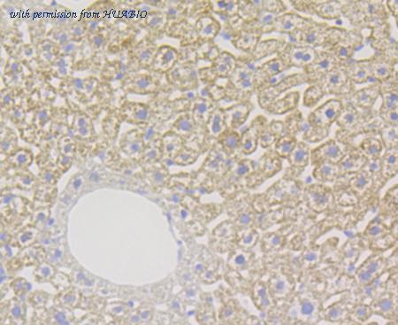 HUABIO ET7108-69 image 3