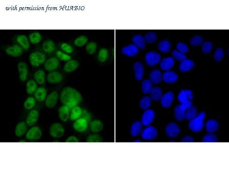 HUABIO ET7108-83 image 2