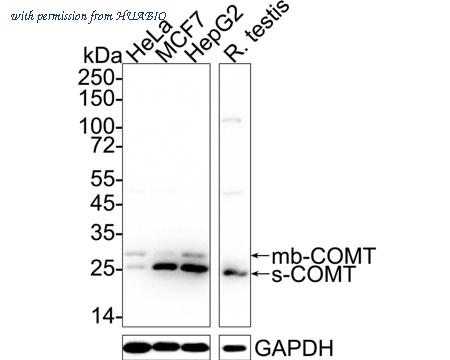 HUABIO ET7108-89 image 1