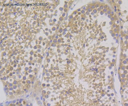 HUABIO ET7108-89 image 2