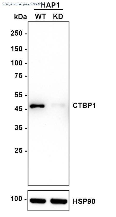 HUABIO ET7108-96 image 1