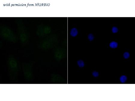 HUABIO ET7108-96 image 3