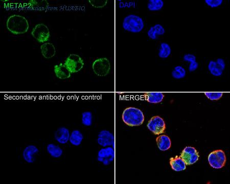 HUABIO ET7108-97 image 3