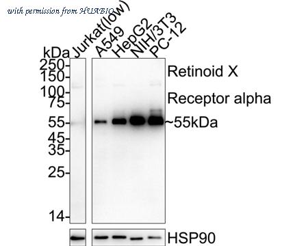 HUABIO ET7108-99 image 1