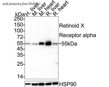 HUABIO ET7108-99 image 2