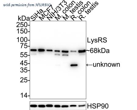 HUABIO ET7109-10 image 1