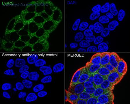 HUABIO ET7109-10 image 2