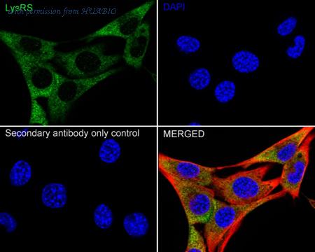 HUABIO ET7109-10 image 3