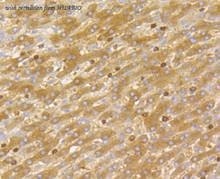 HUABIO ET7109-11 image 3