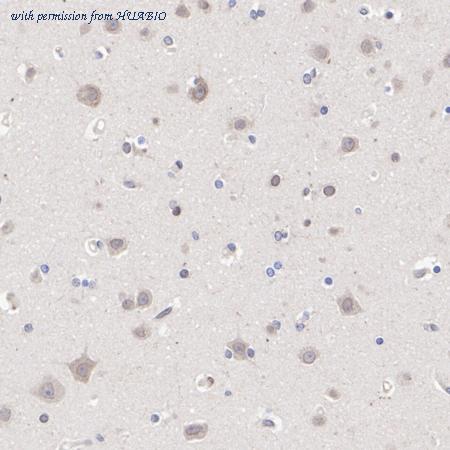 HUABIO ET7109-12 image 3