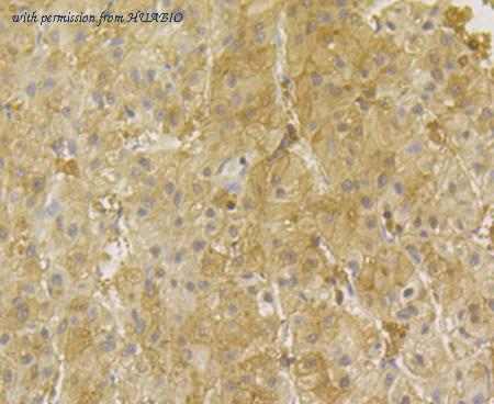 HUABIO ET7109-13 image 3