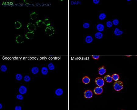 HUABIO ET7109-15 image 3