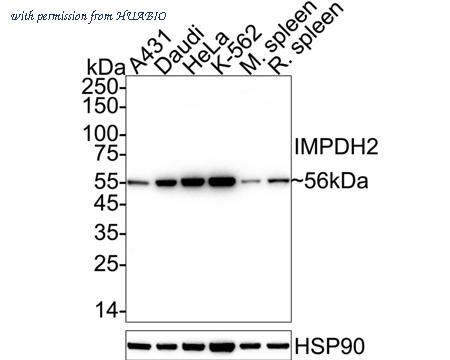HUABIO ET7109-16 image 1
