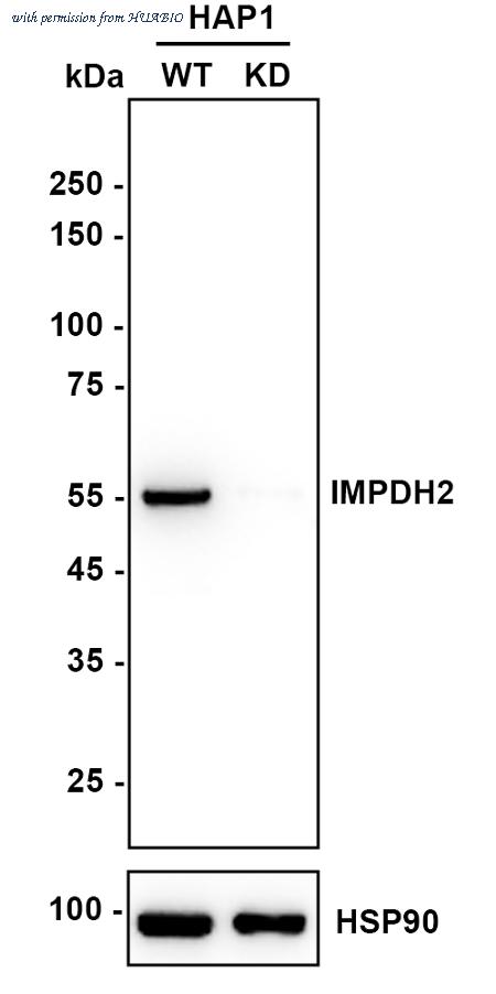 HUABIO ET7109-16 image 2