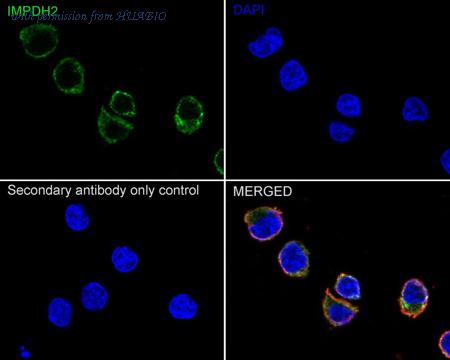 HUABIO ET7109-16 image 3