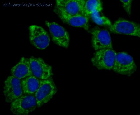 HUABIO ET7109-17 image 3