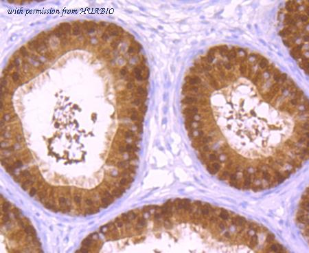 HUABIO ET7109-18 image 2