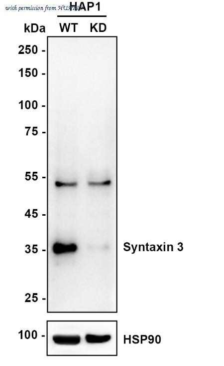 HUABIO ET7109-19 image 1