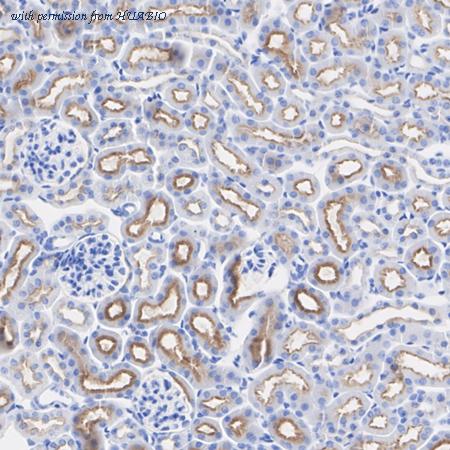 HUABIO ET7109-19 image 3