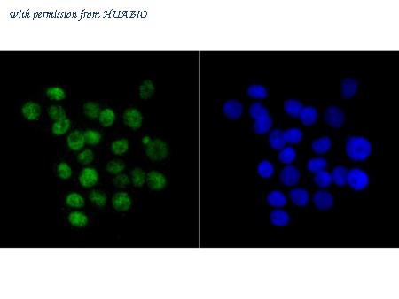 HUABIO ET7109-30 image 3