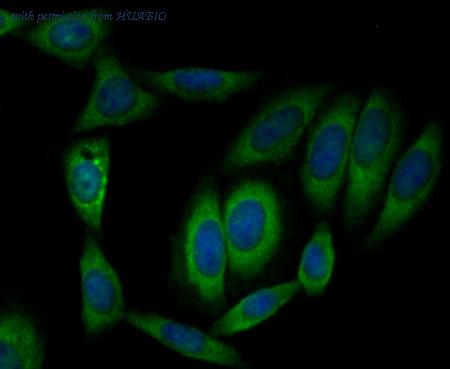 HUABIO ET7109-31 image 3