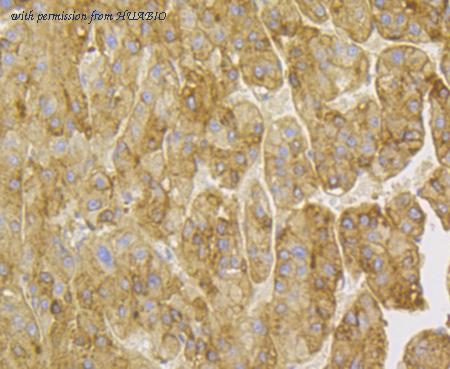 HUABIO ET7109-34 image 2