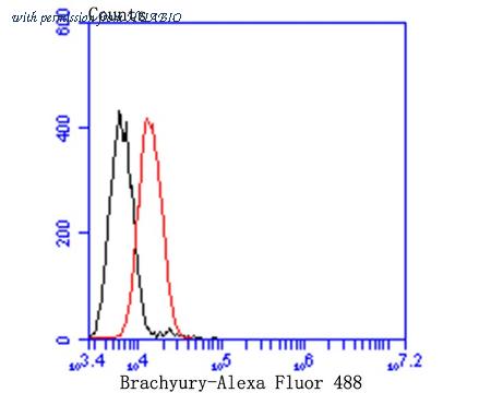HUABIO ET7109-35 image 3