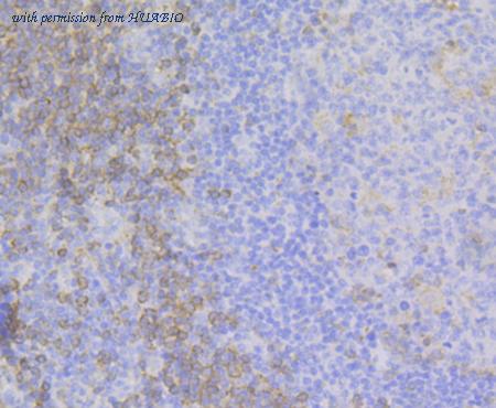 HUABIO ET7109-38 image 3