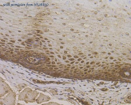 HUABIO ET7109-40 image 3