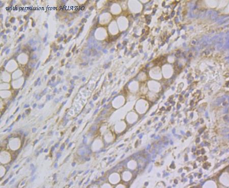 HUABIO ET7109-42 image 3