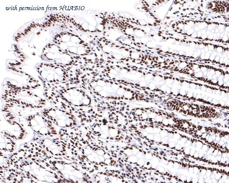 HUABIO ET7109-46 image 2