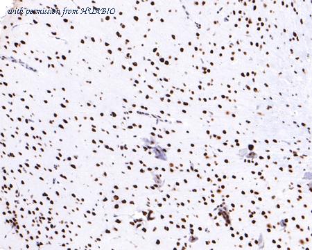 HUABIO ET7109-46 image 3