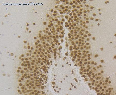 HUABIO ET7109-47 image 2