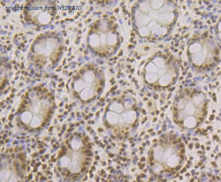 HUABIO ET7109-47 image 3