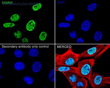 HUABIO ET7109-52 image 3