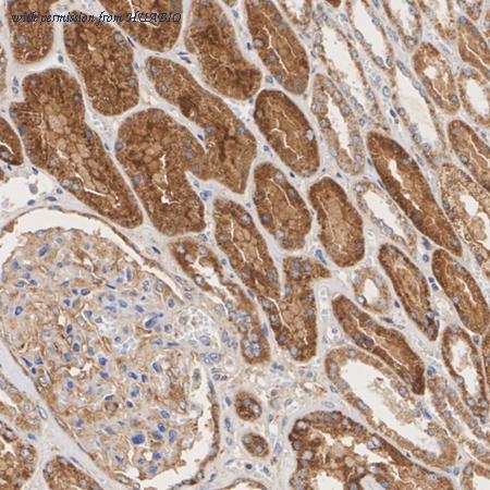 HUABIO ET7109-54 image 2