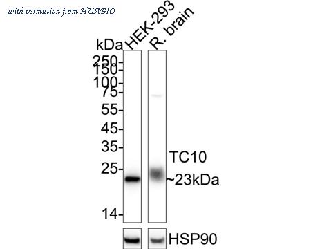HUABIO ET7109-55 image 1