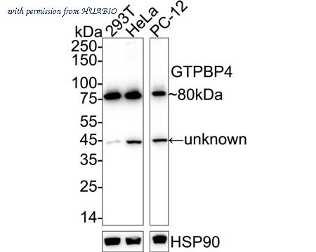 HUABIO ET7109-59 image 1
